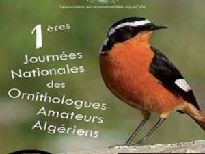 Constantine - Journées nationales des ornithologues amateurs: Le grand rendez-vous des passionnés des oiseaux