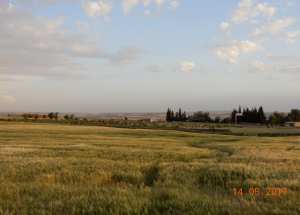 Le Sersou a perte de vue.
