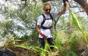 Planète - Nice - Pour protéger la flore azuréenne, ils luttent contre deux plantes envahissantes