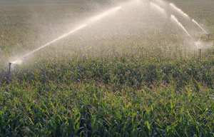 Planète - Quand la France autorise l’exportation d’un pesticide interdit sur son sol