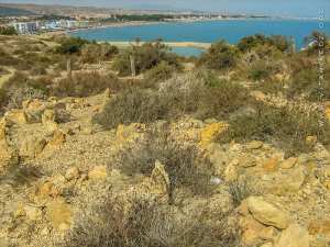 Mystérieux cimetière musulman à Port Say