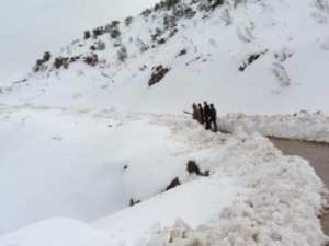 Neige de février 2012 à Bouzelatène