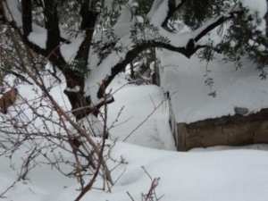Neige de février 2012 à Bouzelatène