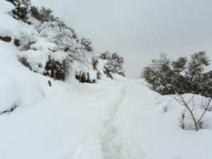 Neige de février 2012 à Bouzelatène