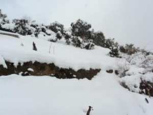 Neige de février 2012 à Bouzelatène