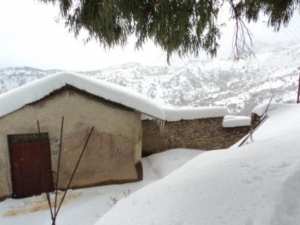 Neige de février 2012 à Bouzelatène