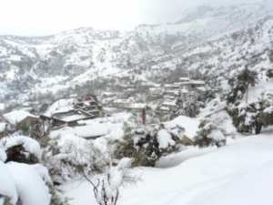 Neige de février 2012 à Bouzelatène