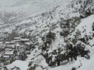 Neige de février 2012 à Bouzelatène