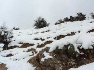 Neige de février 2012 à Bouzelatène