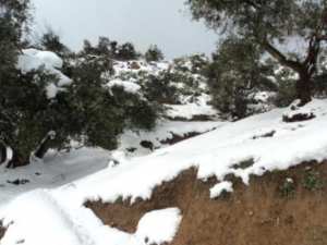 Neige de février 2012 à Bouzelatène