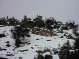 Neige de février 2012 à Bouzelatène