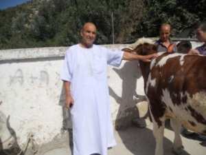 L'Aid Améziane 2013 à Bouzelatène