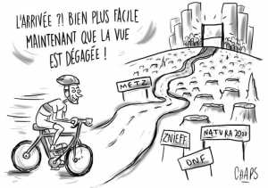 Planète - En Moselle, le Tour de France massacre des arbres magnifiques