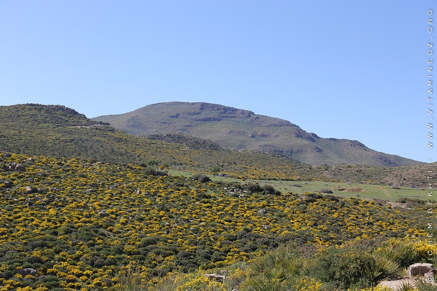 Djbel Fellaoucene - Chaine des Trara