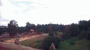 Forêt récréative d’Errich à Bouira:  Un véritable gâchis