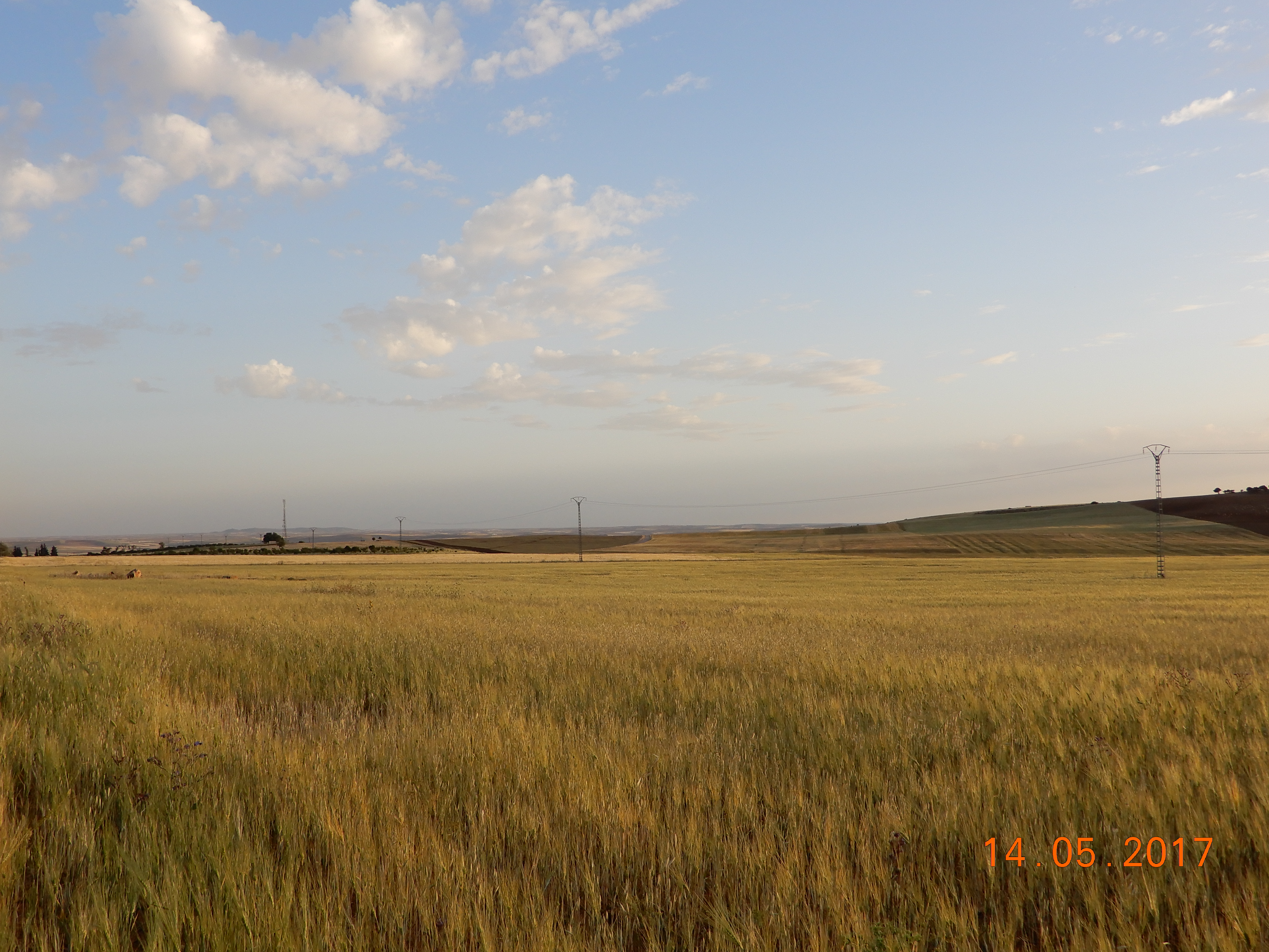 La plaine du Sersou.