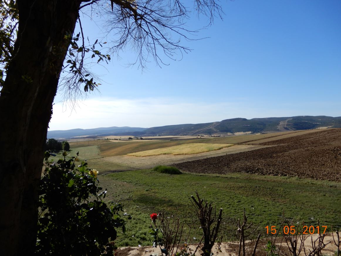 Tiaret region de Mecharef, ouest du Sersou.