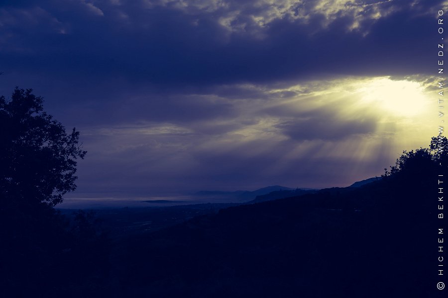 Vue de Tlemcen des hauteurs de Zarifet