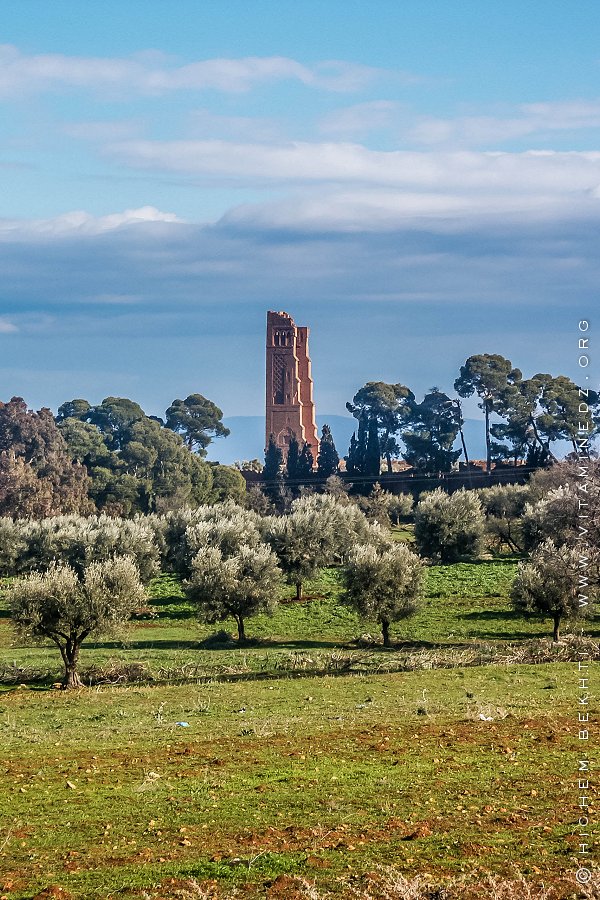 Une ville, une histoire : Mansourah