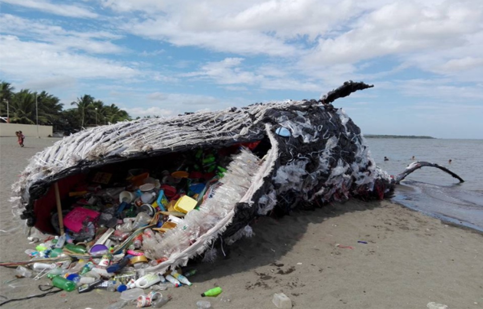 Planète - Des Internautes trompés par une fausse baleine échouée aux Philippines