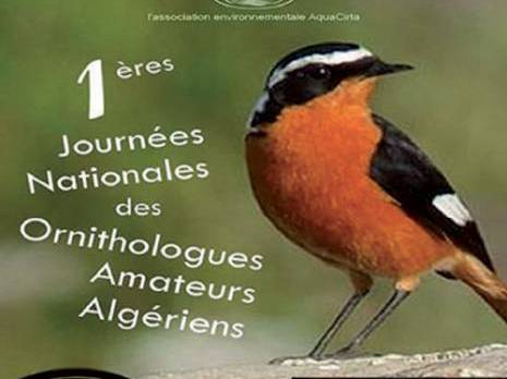 Constantine - Journées nationales des ornithologues amateurs: Le grand rendez-vous des passionnés des oiseaux