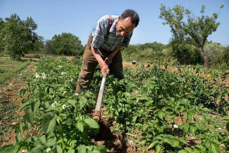 Planète - France: Pierre Rabhi prône «la révolution par la bêche !»