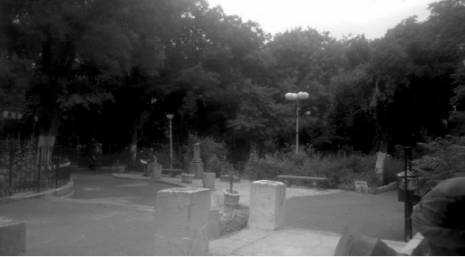 Square du 1er novembre à Aïn Beïda (Oum el bouaghi): La Djenina, un havre de paix délaissé