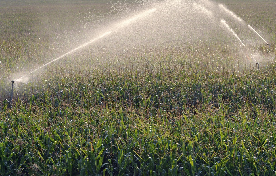 Planète - Quand la France autorise l’exportation d’un pesticide interdit sur son sol
