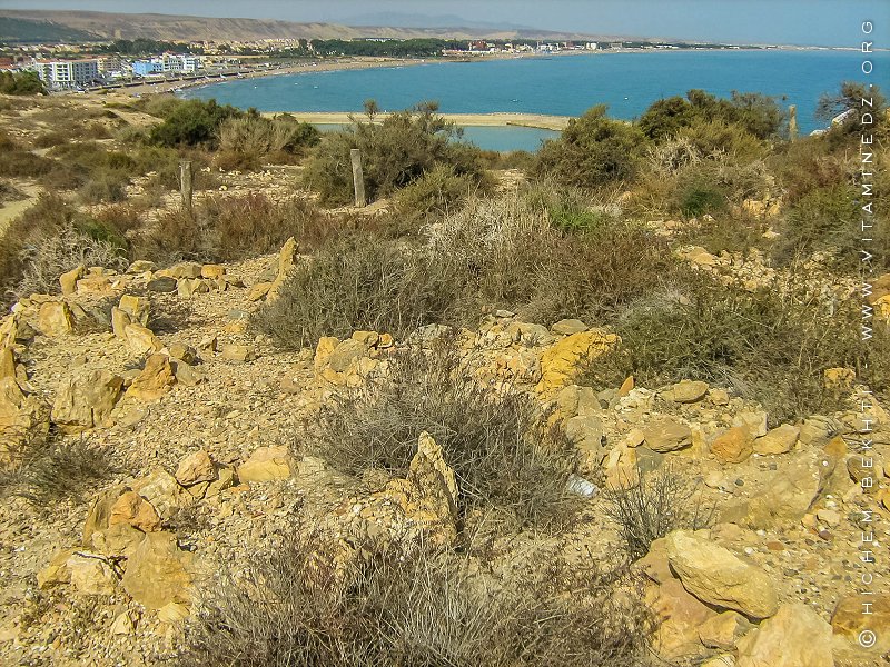 Mystérieux cimetière musulman à Port Say