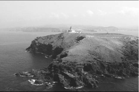 Aïn Témouchent -  L’écologie peut rapporter gros