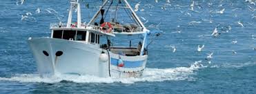 Mostaganem - Des pêcheurs dénoncent le massacre des ressources halieutiques