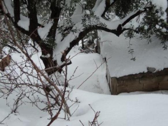 Neige de février 2012 à Bouzelatène