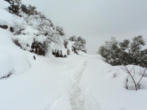 Neige de février 2012 à Bouzelatène