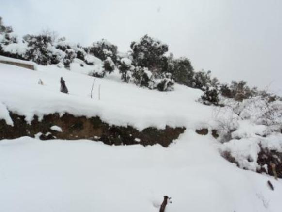 Neige de février 2012 à Bouzelatène