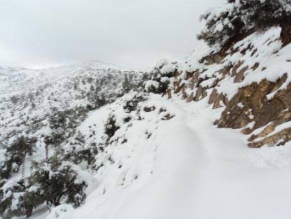 Neige de février 2012 à Bouzelatène