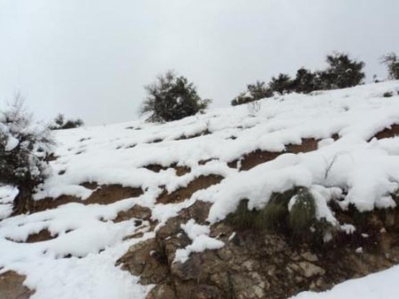 Neige de février 2012 à Bouzelatène