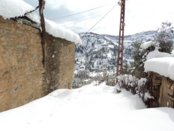 Neige de février 2012 à Bouzelatène
