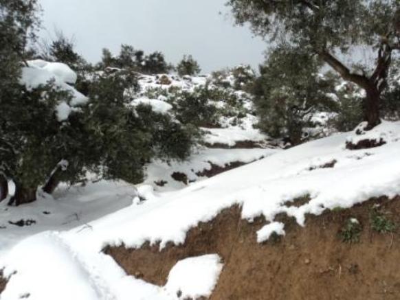 Neige de février 2012 à Bouzelatène