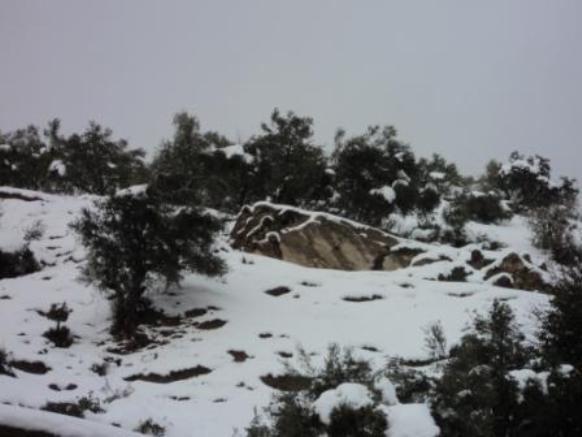 Neige de février 2012 à Bouzelatène