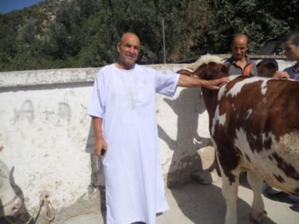 L'Aid Améziane 2013 à Bouzelatène