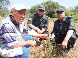Mostaganem - La culture de l’arganier en quête de soutien