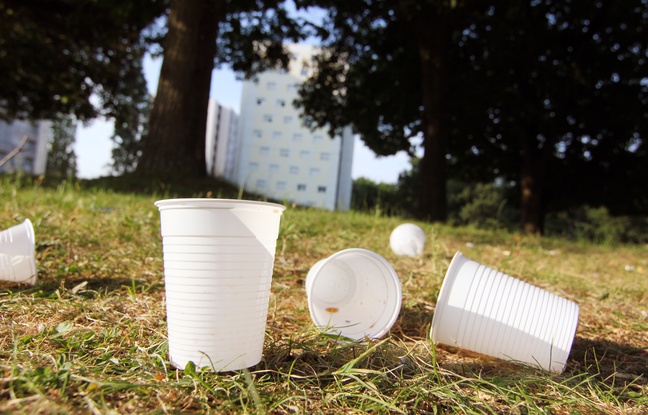 Planète - Rennes: Pinte ou demi, la ville interdira tous les gobelets plastiques jetables en 2018
