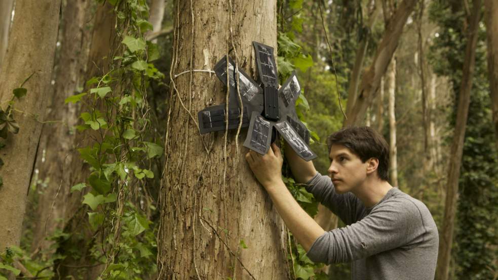 Planète - Des téléphones portables pour sauver la forêt: l'incroyable solution anti-déforestation d'un jeune ingénieur