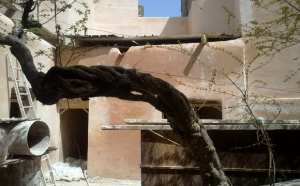 Le Café Roumana et le Ferrane de R’hiba, deux sites à préserver à Tlemcen