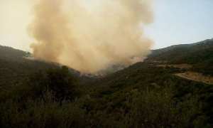 Terre des chouhadas  Hasbouna Allâh wa Ni3ma al-Wakîl
