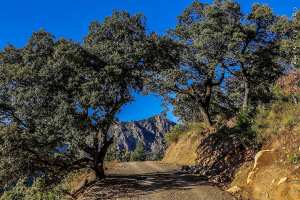 Géographie des monts Djurdjura