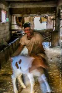 Zahir, le jeune montagnard kabyle d'Ath Ouabane