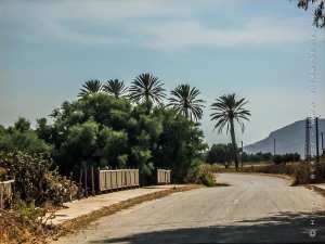 Une stèle pour Baba Arroudj, SVP
