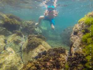 Roches sous marines - Plage sauvage de Boukhenais, Commune de Souahlia (Tlemcen)