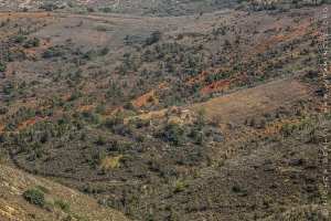 Ancienne Maison abandonnée du village d'Errhamna ( الرحامنة )‎ — à Souahlia, Tlemcen, Algeria.